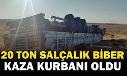 20 ton salçalık biber kazada çevreye dağılarak ziyan oldu