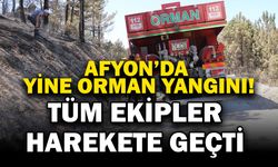 Afyonkarahisar’da Bir Orman Yangını Daha: Ekipler Harekete Geçti