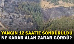 12 saat süren orman yangının bilançosu