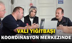 Vali Yiğitbaşı, Orman Yangınına Müdahale Çalışmalarını Yerinde İnceledi