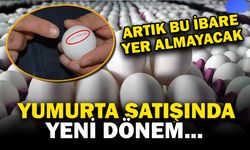 Yumurta Satışında Yeni Dönem