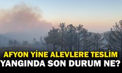 Çepni köyü yangınında son durum ne?