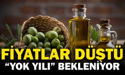 Zeytinde Rekor Üretim: Fiyatlar Düştü, Gelecek Sezon 'Yok Yılı' Bekleniyor