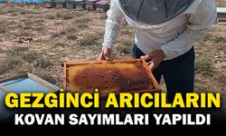 Dazkırı’da Gezginci Arıcıların Kovan Sayımları Yapıldı