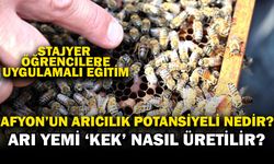 Stajyer Öğrenciler Arıcılık İşletmelerinde Sahada Eğitim Aldı