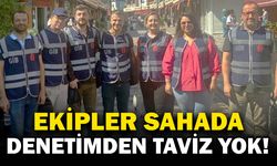 Maliyenin Gelir Uzmanları Hasılat Tespit Denetimleri İçin Sahada