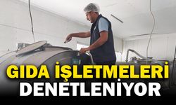 Gıda işletmelerine yönelik denetim