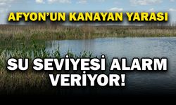 Eber Gölü'nde su seviyesi 5 santimetreye kadar düştü