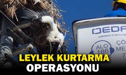 Yuvasına takılı kalan leylek böyle kurtarıldı