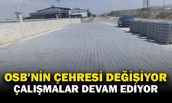 Afyonkarahisar OSB’de Kaldırım Yenileme ve Düzenleme Çalışmaları Sürüyor