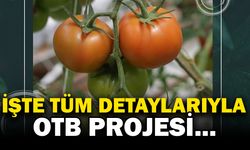 Organize Tarım Bölgesi Projesiyle İlgili Bilinmeyenler!