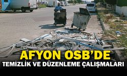 Afyonkarahisar OSB’de Temizlik ve Düzenleme Çalışmaları Sürüyor