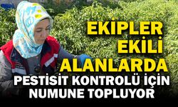 Afyonkarahisar’da Hasat Öncesi Pestisit Denetimi