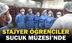 Stajyer Öğrencilere Sucuk Üretimi Eğitimi