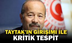 Taytak’ın Girişimiyle Kültürel Miras Uzmanlarına Önemli Adım