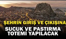 Afyonkarahisar’a Sucuk ve Pastırma Totemi Geliyor