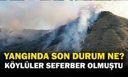 Afyonkarahisar'da çıkan orman yangınında son durum