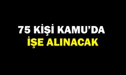 Engelsiz İUP Kapsamında 75 Kişiye Geçici İstihdam Fırsatı