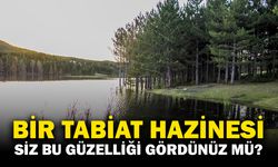 Bir doğa hazinesi: Akdağ Tabiat Parkı