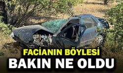 Kazada kopan tekerlek ağacın üzerine fırladı