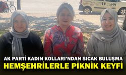 AK Parti Afyon Kadın Kolları, Piknik Şenliğinde Hemşehrilerle Buluştu