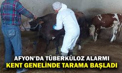 Afyonkarahisar’da Sığır Tüberkülozu Taraması Başlatıldı