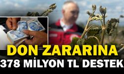 Afyonkarahisar’da Don Zararına 378 Milyon TL Destek Ödemesi Yapılacak