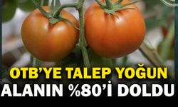 Çay–Çobanlar–Bolvadin Organize Tarım Bölgesi’ne Yoğun İlgi