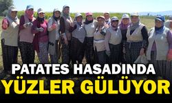 Kışlık patates hasadı başladı, rekolte üreticilerin yüzünü güldürdü