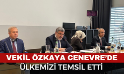 Milletvekili Özkaya, Cenevre’de Türkiye’nin Tezlerini Anlattı