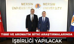 AFSÜ ile Mersin Üniversitesi Arasında İş Birliği
