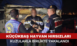 Sandıklı’da Küçükbaş Hayvan Hırsızları Jandarmadan Kaçamadı