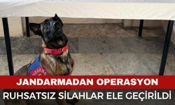 Jandarmadan Düğünlerde Silah Atılmasına Karşı Operasyon