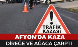 Otomobil aydınlatma direği ve ağaca çarptı