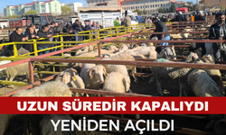 Uzun süredir kapalı olan canlı hayvan pazarı açıldı