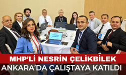 MHP’li Av. Nesrin Çelikbilek “Türk Sağlık Sisteminde Yenilikler Çalıştayı”na Katıldı