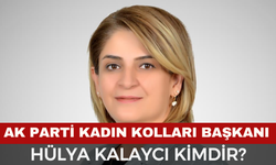AK Parti Kadın Kolları Başkanı Hülya Kalaycı Kimdir?