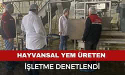 Hayvansal yem üreten işletmeye yönelik denetim