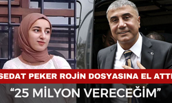 Rojin Kabaiş Soruşturmasına Sedat Peker Dahil Oldu