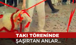 Damada verilen hediyeye herkes şaştı kaldı