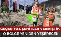 Yangında Şehitler Vermiştik... Şimdi Yeniden Yeşerecek