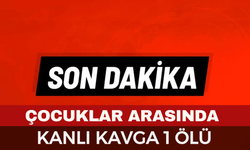 Afyonkarahisar'da kanlı kavga