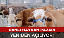 Canlı Hayvan Pazarı Yeniden Açılıyor