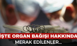 Organ Bağışı Hakkında Merak Edilenler
