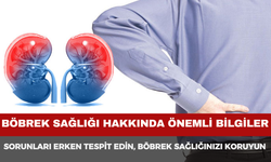 Böbrek Sağlığı Rehberi: Kronik Böbrek Hastalığı ve Erken Teşhis Yolları