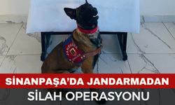 Sinanpaşa’da Jandarmadan Silah Operasyonu