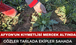 Afyonkarahisar’ın Beyaz Altını Mercek Altında