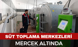 Afyon’da Süt Toplama Merkezleri Mercek Altında