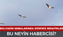 Bolvadin Semalarında Sürpriz Misafirler