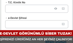 Şifrenizi Girdiğiniz An Her Şeyiniz Çalınıyor!